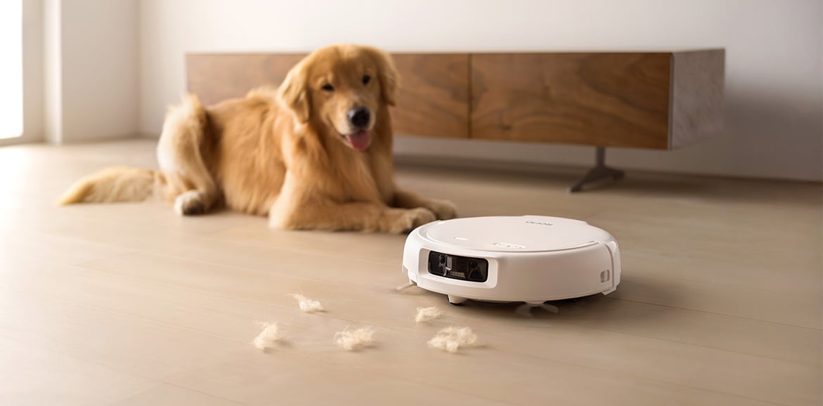 Robot sprzątający DJI ROMO S odkurza sierść obok psa